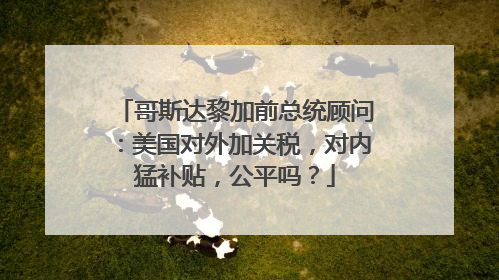 哥斯达黎加前总统顾问：美国对外加关税，对内猛补贴，公平吗？