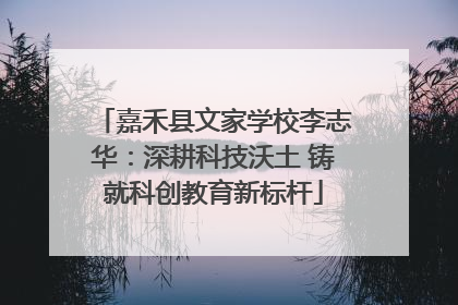 嘉禾县文家学校李志华：深耕科技沃土 铸就科创教育新标杆