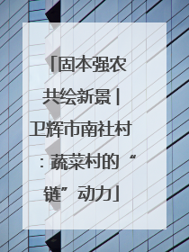 固本强农 共绘新景 ︳卫辉市南社村：蔬菜村的“链”动力