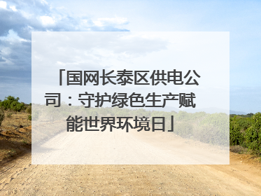 国网长泰区供电公司：守护绿色生产赋能世界环境日