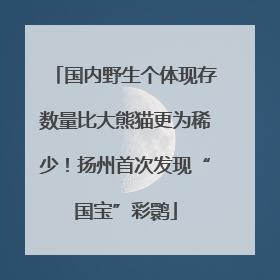 国内野生个体现存数量比大熊猫更为稀少！扬州首次发现“国宝”彩鹮