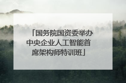 国务院国资委举办中央企业人工智能首席架构师特训班