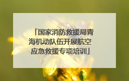 国家消防救援局青海机动队伍开展航空应急救援专项培训