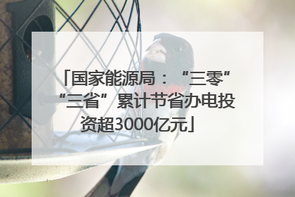 国家能源局：“三零”“三省”累计节省办电投资超3000亿元