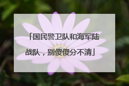国民警卫队和海军陆战队，别傻傻分不清