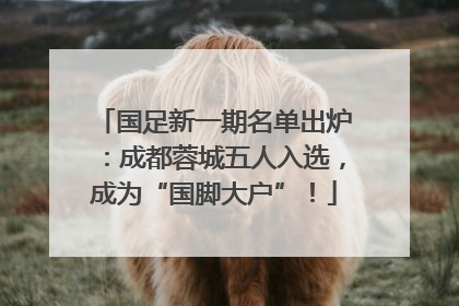 国足新一期名单出炉：成都蓉城五人入选，成为“国脚大户”！