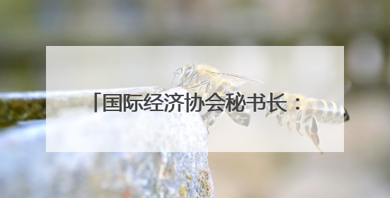 国际经济协会秘书长：面对美关税战，东盟应选择战略性“脱钩”