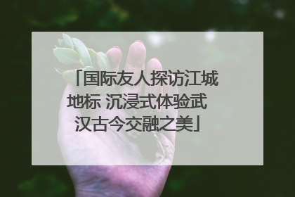 国际友人探访江城地标 沉浸式体验武汉古今交融之美