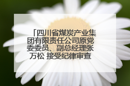 四川省煤炭产业集团有限责任公司原党委委员、副总经理张万松 接受纪律审查和监察调查