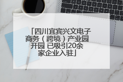 四川宜宾兴文电子商务（跨境）产业园开园 已吸引20余家企业入驻
