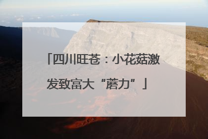 四川旺苍：小花菇激发致富大“蘑力”