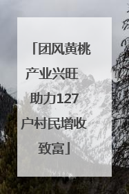 团风黄桃产业兴旺 助力127户村民增收致富
