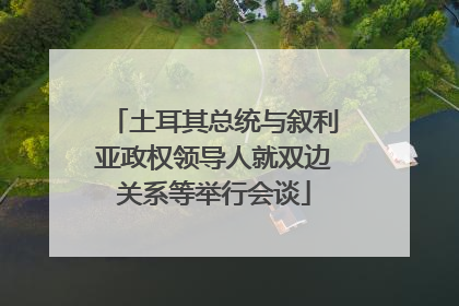土耳其总统与叙利亚政权领导人就双边关系等举行会谈