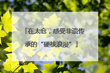 在太仓，感受非遗传承的“硬核浪漫”