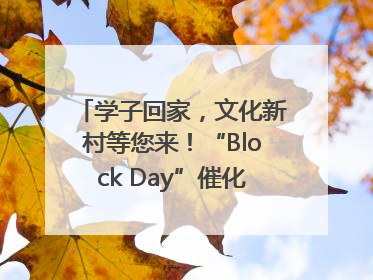 学子回家，文化新村等您来！“Block Day”催化学院式街区新生态