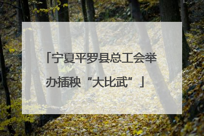 宁夏平罗县总工会举办插秧“大比武”