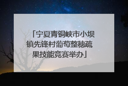 宁夏青铜峡市小坝镇先锋村葡萄整穗疏果技能竞赛举办