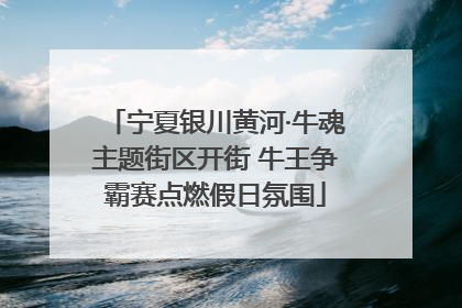 宁夏银川黄河·牛魂主题街区开街 牛王争霸赛点燃假日氛围