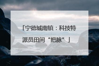 宁德城南镇：科技特派员田间“把脉”