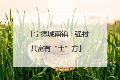 宁德城南镇：强村共富有“土”方