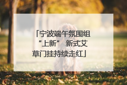 宁波端午氛围组“上新” 新式艾草门挂持续走红