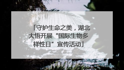守护生命之美，湖北大悟开展“国际生物多样性日”宣传活动