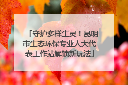 守护多样生灵！昆明市生态环保专业人大代表工作站解锁新玩法