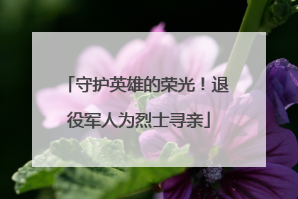守护英雄的荣光！退役军人为烈士寻亲