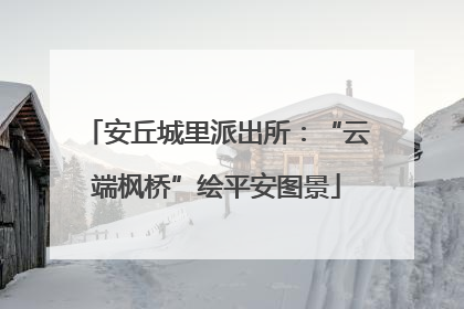 安丘城里派出所：“云端枫桥”绘平安图景