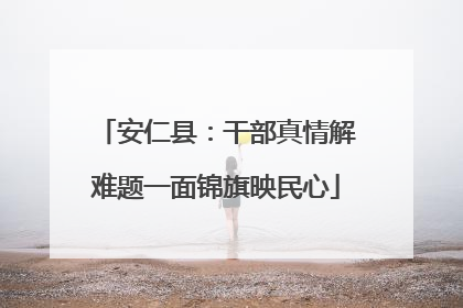 安仁县：干部真情解难题一面锦旗映民心
