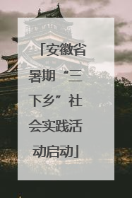 安徽省暑期“三下乡”社会实践活动启动