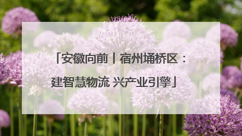 安徽向前丨宿州埇桥区：建智慧物流 兴产业引擎