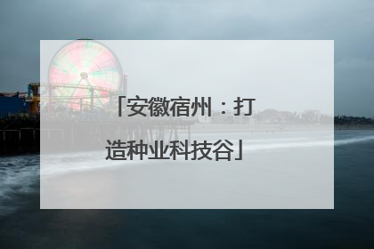 安徽宿州：打造种业科技谷