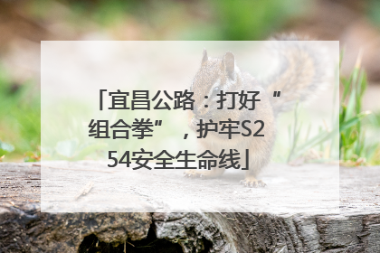 宜昌公路：打好“组合拳”，护牢S254安全生命线