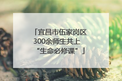 宜昌市伍家岗区300余师生共上“生命必修课”