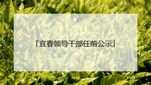 宜春领导干部任前公示