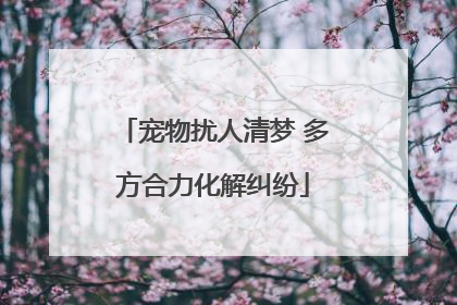 宠物扰人清梦 多方合力化解纠纷