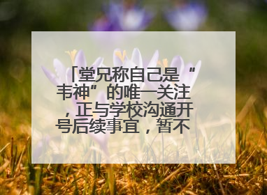 堂兄称自己是“韦神”的唯一关注，正与学校沟通开号后续事宜，暂不考虑直播