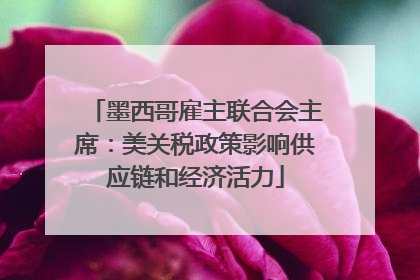 墨西哥雇主联合会主席：美关税政策影响供应链和经济活力