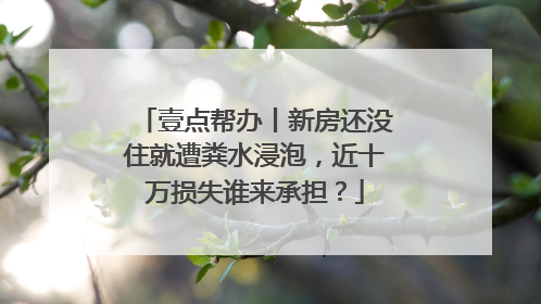壹点帮办丨新房还没住就遭粪水浸泡，近十万损失谁来承担？