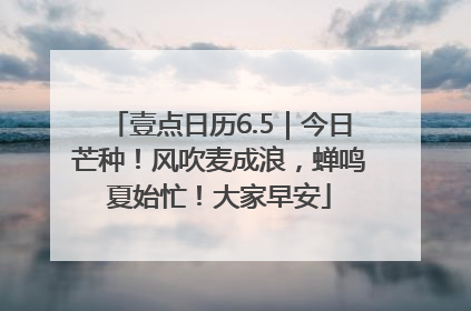 壹点日历6.5｜今日芒种！风吹麦成浪，蝉鸣夏始忙！大家早安