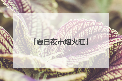 夏日夜市烟火旺
