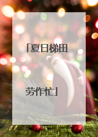 夏日梯田劳作忙
