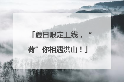 夏日限定上线，“荷”你相遇洪山！