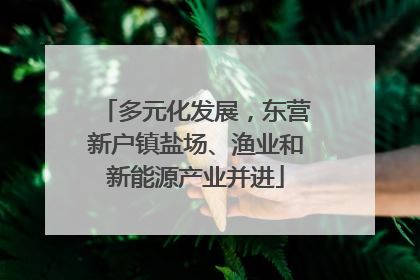 多元化发展，东营新户镇盐场、渔业和新能源产业并进