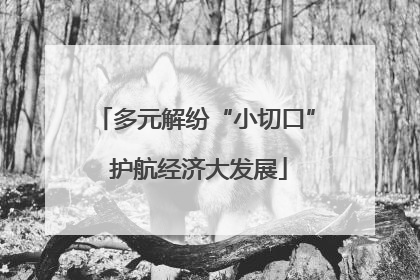 多元解纷“小切口” 护航经济大发展