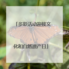 多彩活动迎接文化和自然遗产日