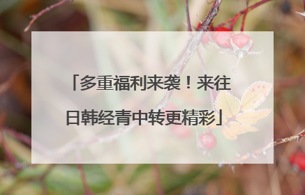 多重福利来袭！来往日韩经青中转更精彩