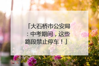 大石桥市公安局：中考期间，这些路段禁止停车！