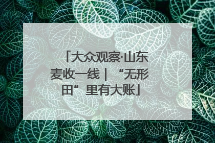 大众观察·山东麦收一线｜“无形田”里有大账